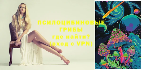 прущие грибы Бикин