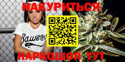 индика Бийск