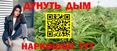 индика Бийск