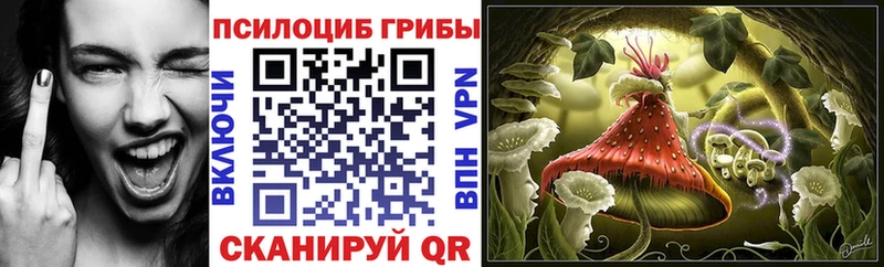 дарк нет Telegram  Мирный  Галлюциногенные грибы прущие грибы 