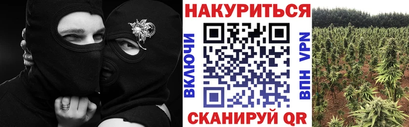 где купить наркоту  Мирный  МАРИХУАНА Amnesia 